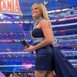 কেন লিলিয়ান গার্সিয়া 2016 সালে WWE ত্যাগ করেছিলেন?