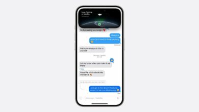 Apple Brings RCS, Satellite Capabilities to the Messages App for iPhone With iOS 18
