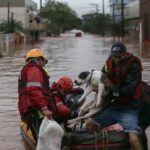 Brazil's devastating floods spark another crisis: homeless pets