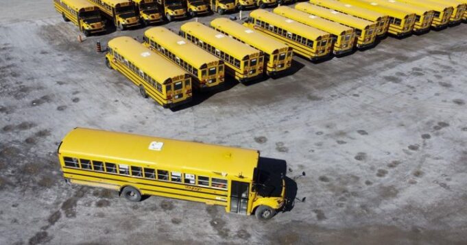 New Brunswick school bus drivers failing to meet licensing, training requirements: audit - New Brunswick | Globalnews.ca

