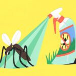 What are some eco-friendly ways to control backyard pests?