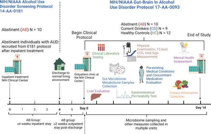 Schematic representation of the study design. Abstinent individuals with AUD (AB) were enrolled in the study after ≥4 weeks of inpatient treatment (NIH/NIAAA treatment protocol 14-AA-0181), followed by ≥2 weeks of “real life” (living their normal life). Non-treatment-seeking, currently drinking individuals with AUD (CD) and matched healthy controls (HC) were also enrolled. Fecal samples from the study participants were collected and processed for gut microbiome and metabolome analysis. Physical examination, 12-lead ECG, vital sign measurements, and laboratory tests were performed. Information on physical and mental health (including information on medical conditions and medications) and dietary intake was gathered and analyzed. Transient liver elastography and gastrointestinal permeability testing were carried out.