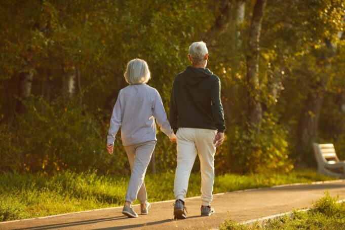 Study: Sedentary Behaviors, Light-Intensity Physical Activity, and Healthy Aging. Image Credit: Studio Romantic / Shutterstock