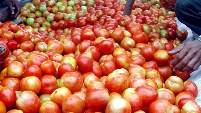 tomato prices Delhi