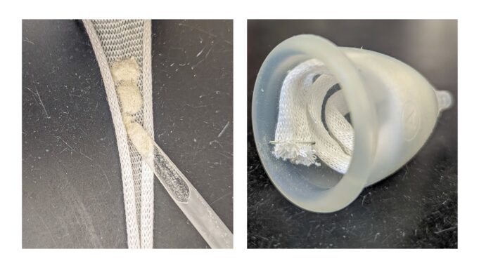 Left: A cotton gauze stockinette coil filled with the team's powdered biomaterial. Right: The powder-filled coil inserted into a menstrual cup.